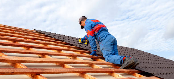 Best Gutter Installation and Repair  in Dana, NC