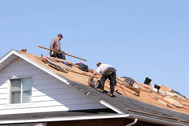 Best Solar Panel Roofing Installation  in Dana, NC