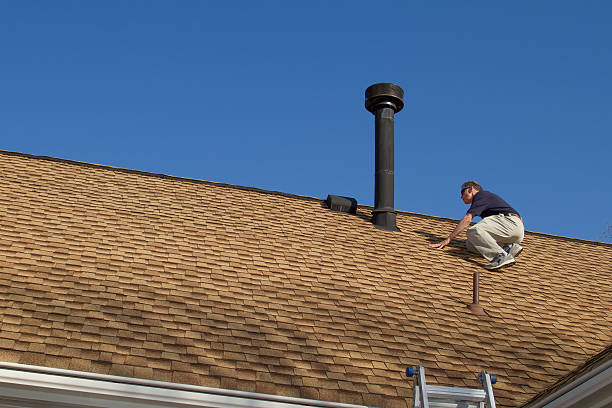 Best Solar Panel Roofing Installation  in Dana, NC